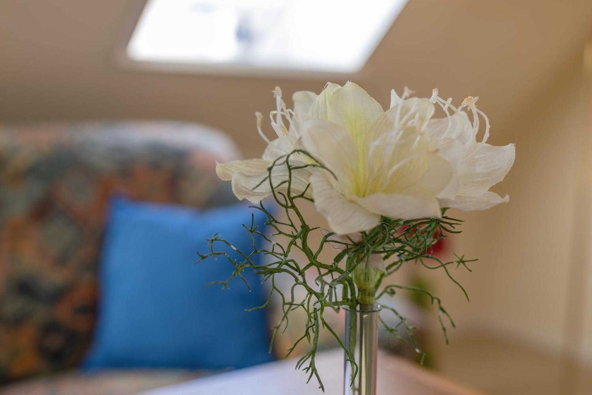Lindenbuschen 2 Wohnung 7 Kellenhusen Zewnętrze zdjęcie